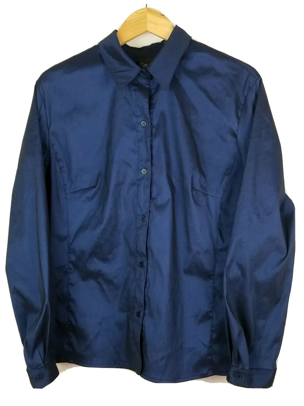 Anthony Mark Hankins Womens Shirt Plus Size 18 Blue Button Up Long Sleeve Blouse